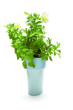 Slim - Flower Pot